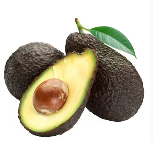 Avacado Hass