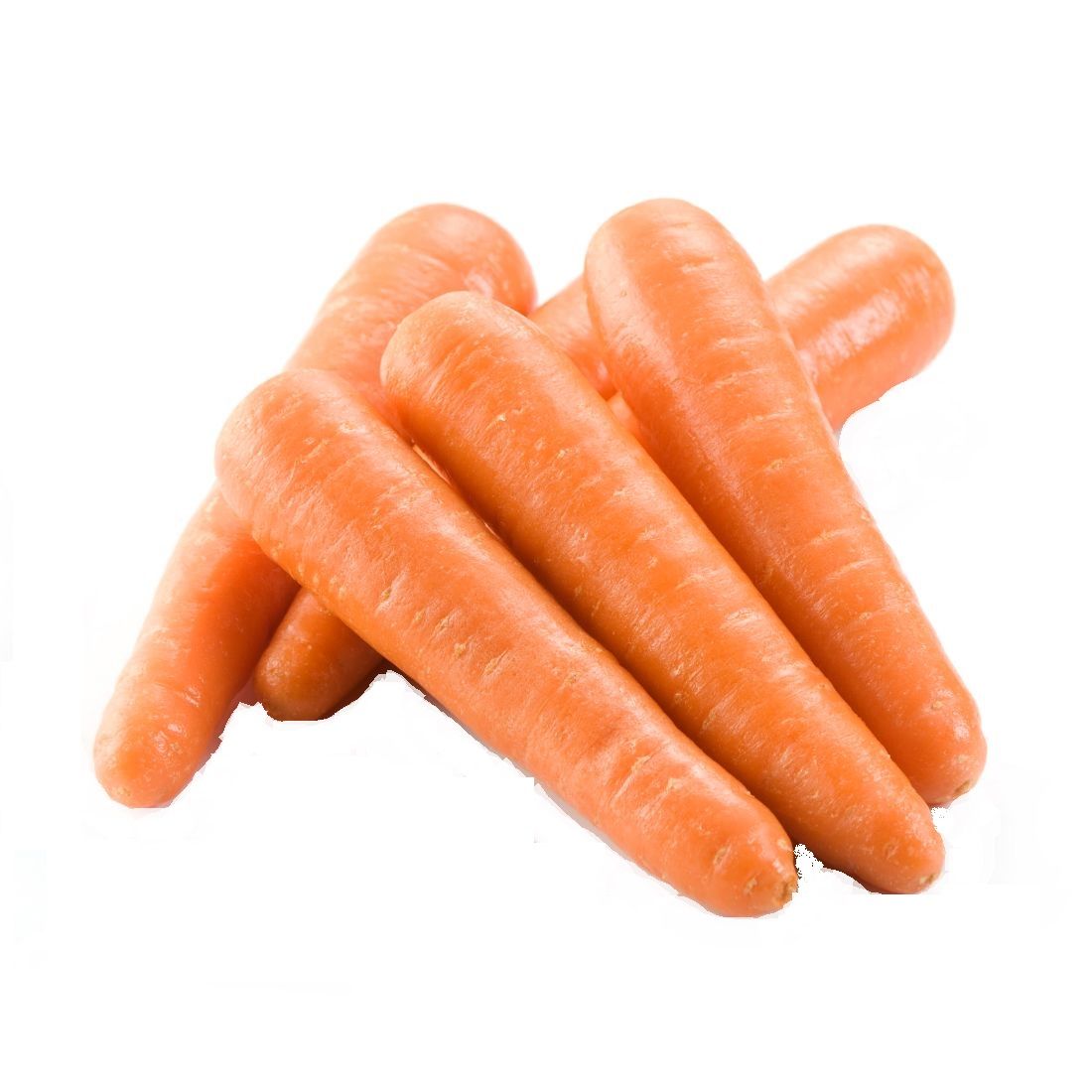 Carrot