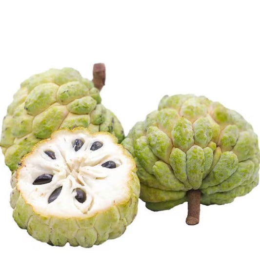 Custard Apple