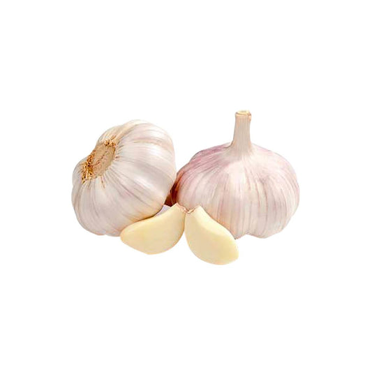 Garlic China