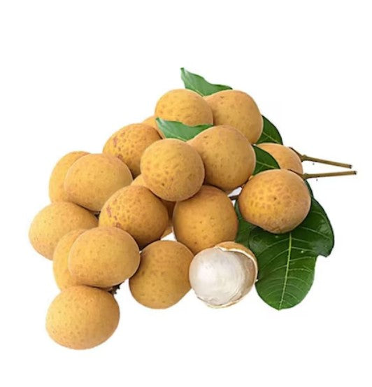 longan