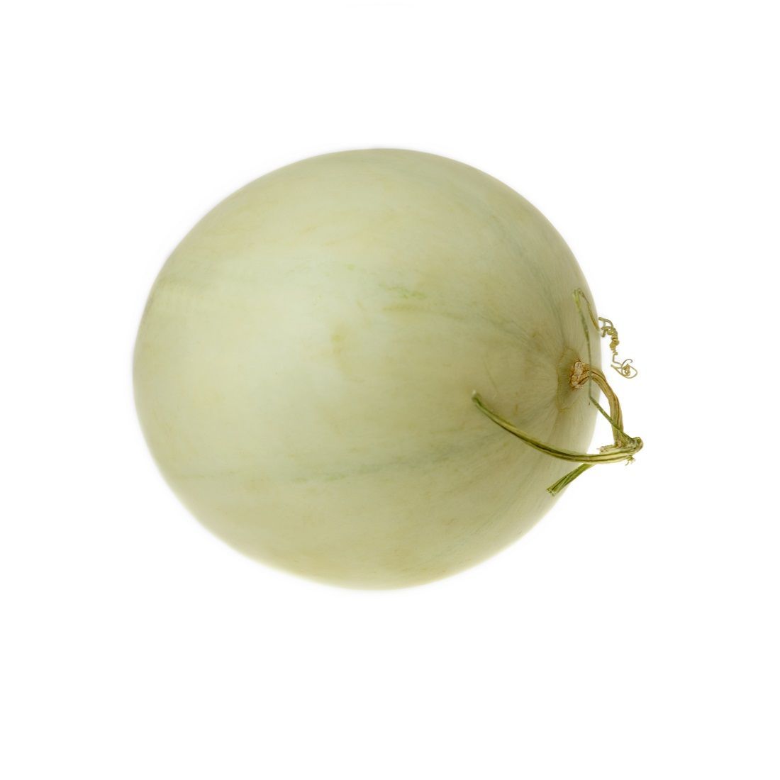 Honey Melon