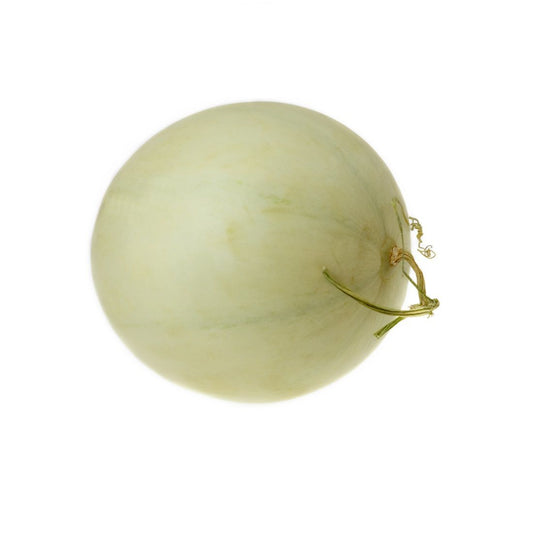 Honey Melon