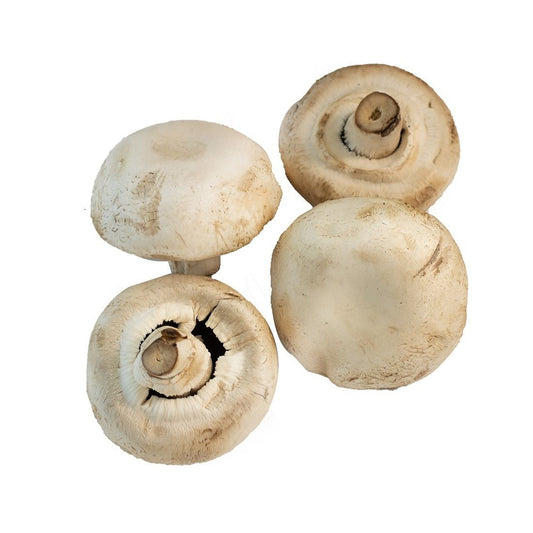 Mushroom Giant