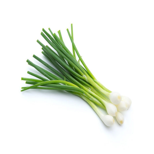 Spring Onion