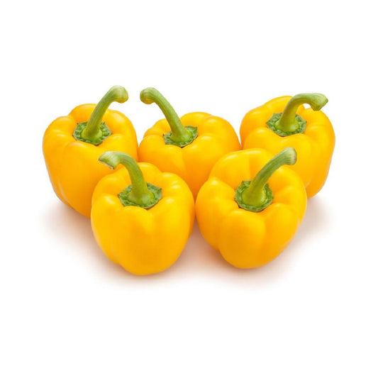 Capsicum Yellow