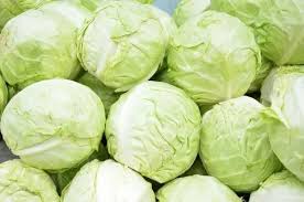 cabbage