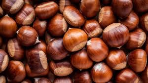 chestnut