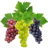 grapes