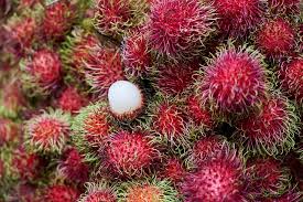 rambutan