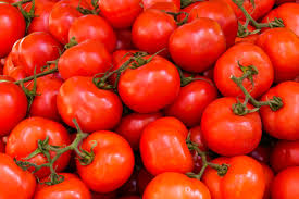 tomato