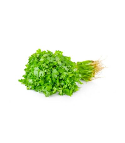 Coriander