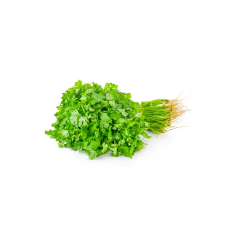 Coriander