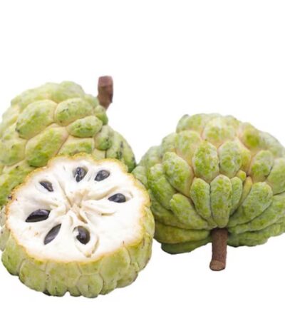 Custard Apple