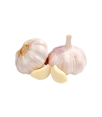 Garlic China