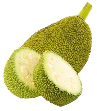 Jackfruit