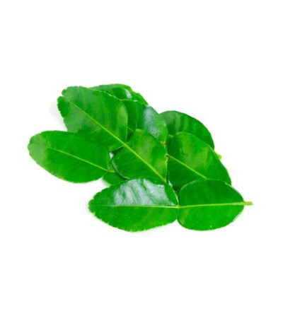 Lime Leaves