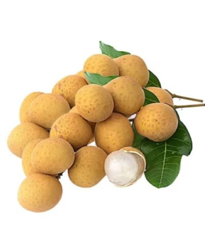longan