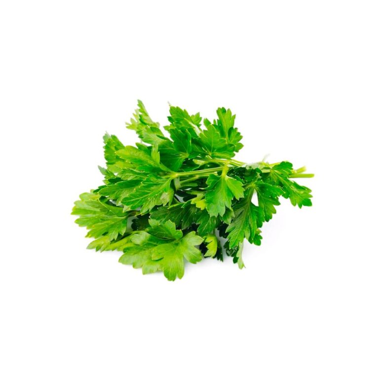 Parsley