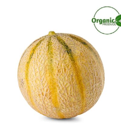 Rock Melon