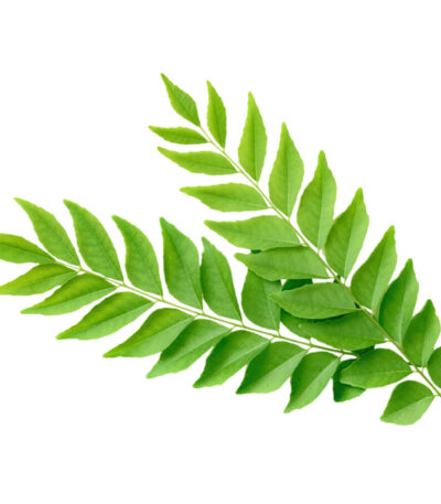 curry-leaves