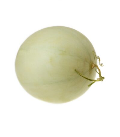 Honey Melon