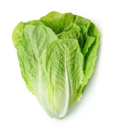 Lettuce