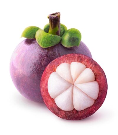 Mangosteen