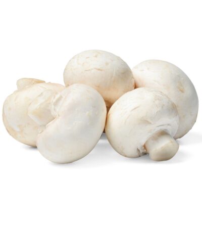 Mushroon Baby