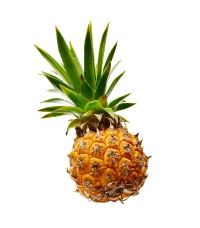 Pineapple baby