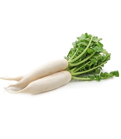Radish White