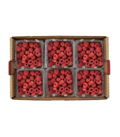 Rasberry