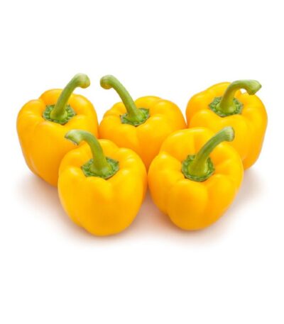 Capsicum Yellow